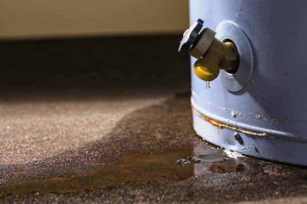 Best Water damage cleanup near me  in Grace, ID