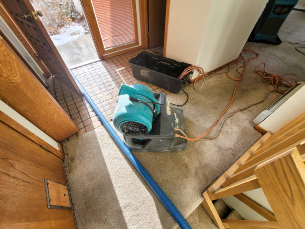Trusted Grace, ID Water damage restoration Experts