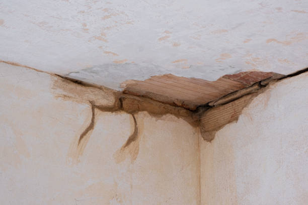 Professional Water damage restoration in Grace, ID