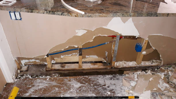 Best Flood restoration services  in Grace, ID
