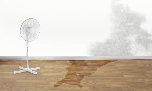 Best Flood damage cleanup  in Grace, ID