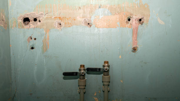 Best Professional water damage repair  in Grace, ID