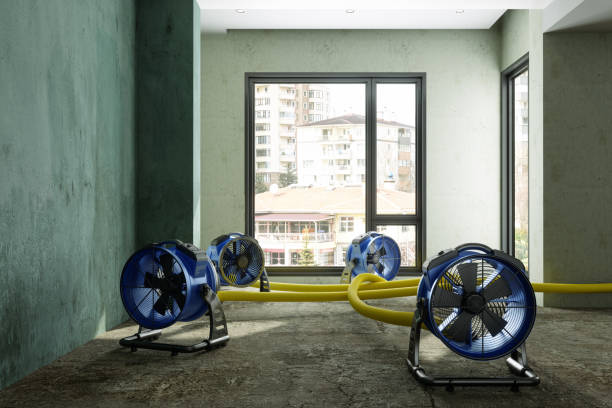 Water damage restoration experts in Grace, ID